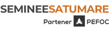 seminee-satu-mare-logo.png